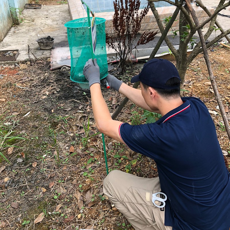 武汉地区除虫除蚁提供行业虫害消杀解决方案